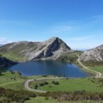 翡翠记忆的头像