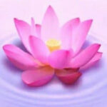 真相图片的头像