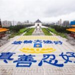 法轮功真相的头像