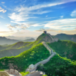 希望的路的头像