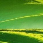 陌上行者的头像