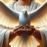 阿门查档-寻条哥的头像